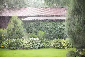 Photo d(un jardin dans un maison, Terrain humide.